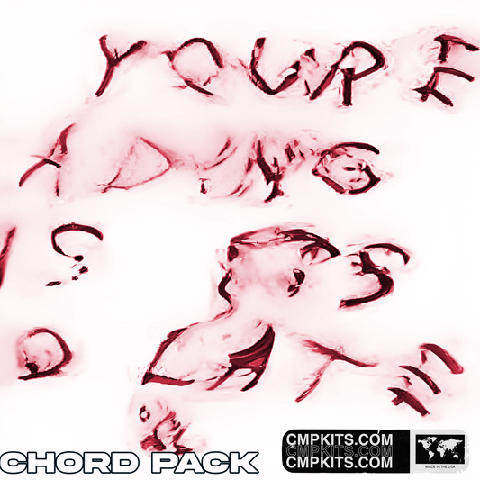 IF YOU'RE READING THIS IT'S TOO LATE Chord Pack [Scaler and Ripchord presets MIDI included]