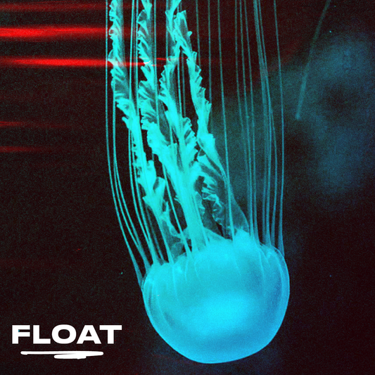 Float Bluff Gawd Presets [SOUND TOYS VSTs REQUIRED]
