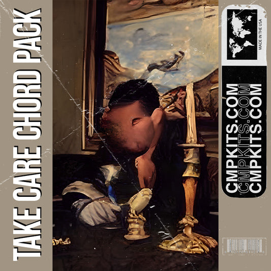 Take Care Chord Pack [Scaler and Ripchord presets MIDI included]
