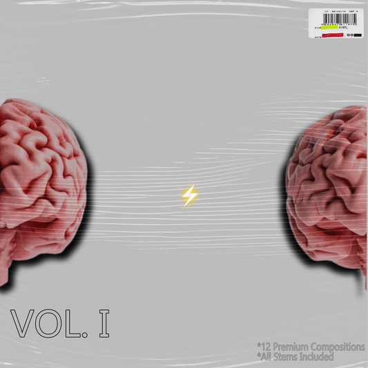 Scatter Brain Vol 1